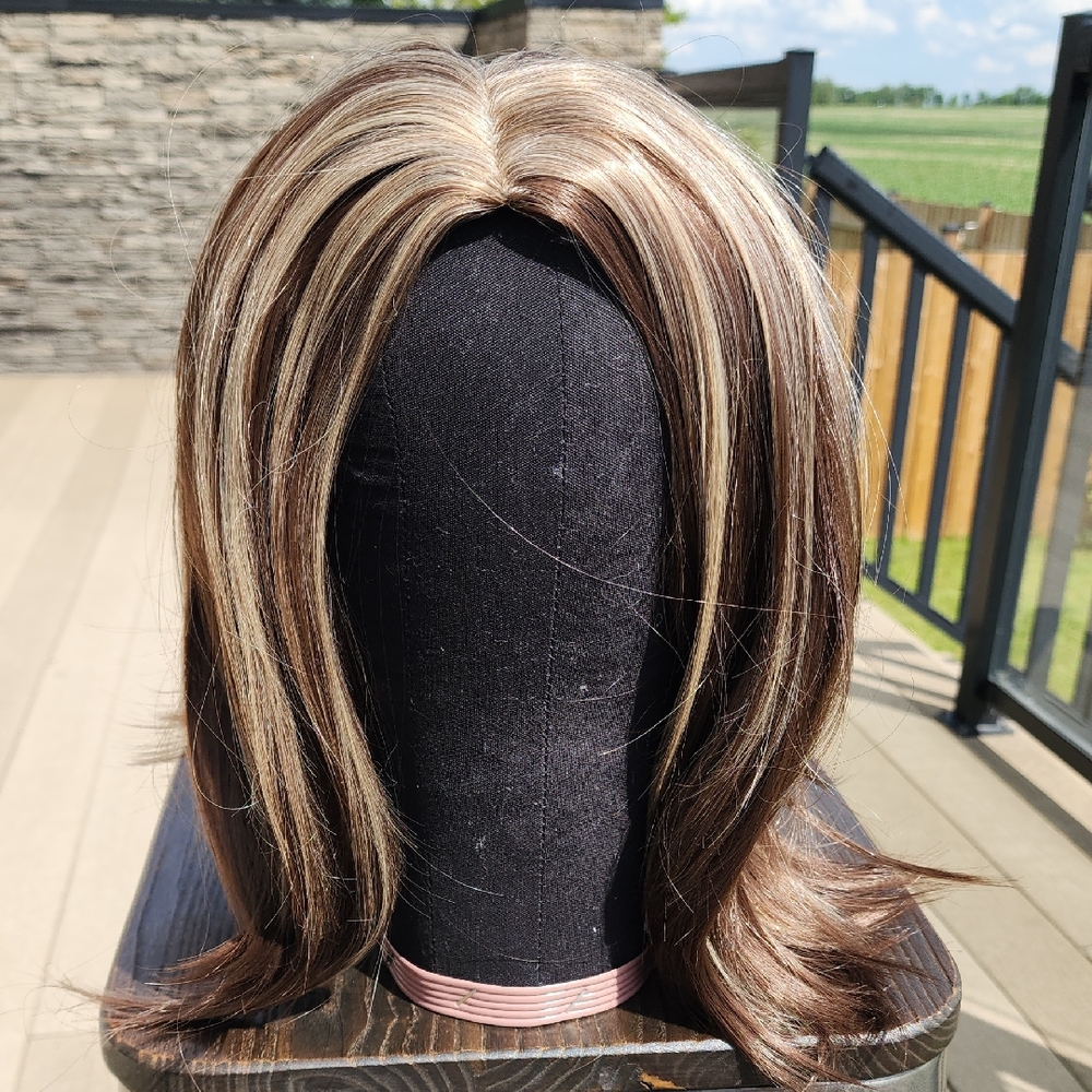 Source Unknown Multi-Tone Women's Wig